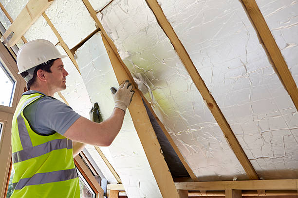 Best Cellulose Insulation in Kihei, HI
